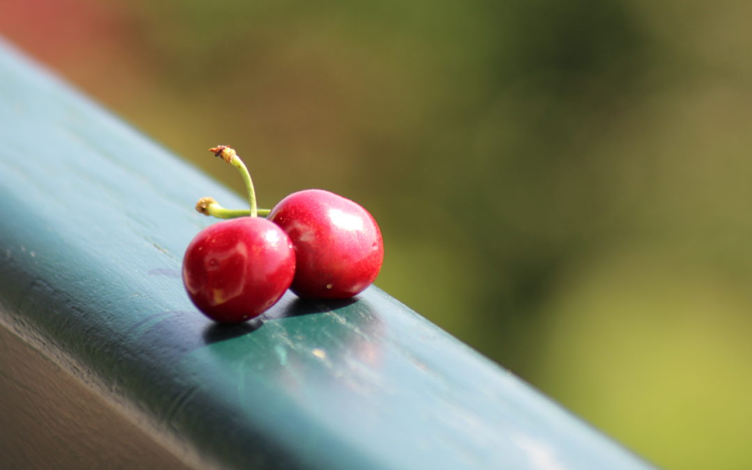 5 idées d&rsquo;activités slow gratuites