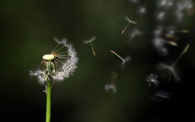 10 signes qu&rsquo;il est temps de prendre soin de toi
