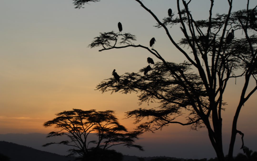Je viens d&rsquo;apprendre que je suis… flexitarienne